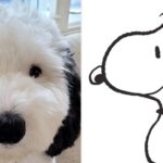 Snoopy