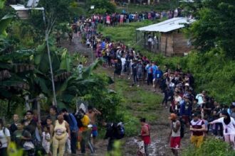 Flujo inverso: Panamá reveló cuántos migrantes irregulares que vienen de regreso al sur del continente han recibido durante 2025