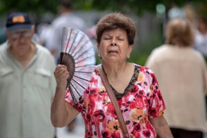 Jesús Delgado, geógrafo e investigador del Centro de Estudios Integrales del Ambiente, señaló que las altas temperaturas