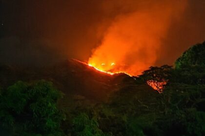 Más de 9.000 incendios forestales se han registrado enero y febrero de este mismo año, esas son algunas de las cifras manejadas por NASA