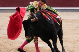toros