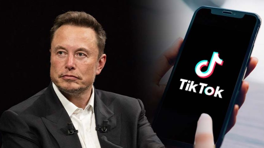 Lo que dijo Elon Musk sobre la posibilidad de adquirir TikTok en EEUU