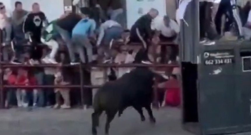 Toro