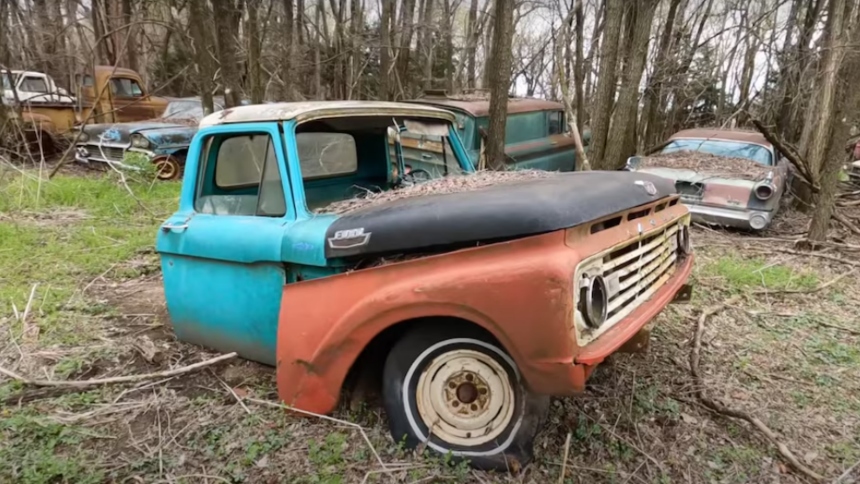 Un hombre estadounidense realizó un sorprendente descubrimiento tras adquirir una granja abandonada: el terreno estaba lleno de coches clásicos olvidados durante décadas.  