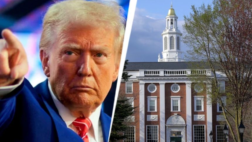 Trump ordenó paralizar la inscripción de estudiantes extranjeros en Harvard y así respondió una jueza federal