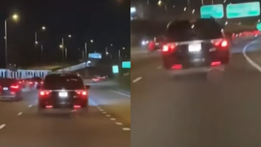 Un video impactante ha sacudido a la comunidad de Chicago (EEUU) y a los defensores de los derechos de los animales.  