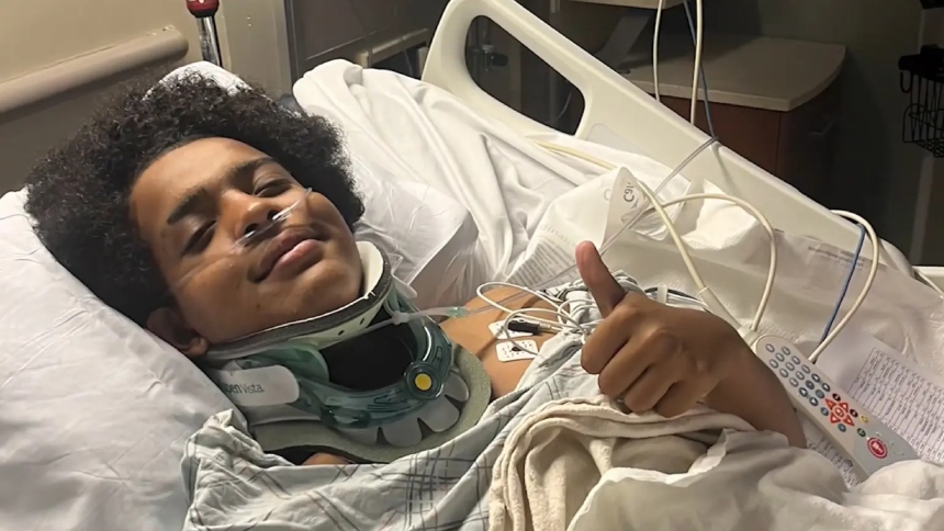 En una tarde que parecía común en Central Park, en Nueva York (EEUU), una tormenta eléctrica transformó un picnic entre amigos en una escena de emergencia tras la caída de un rayo.  