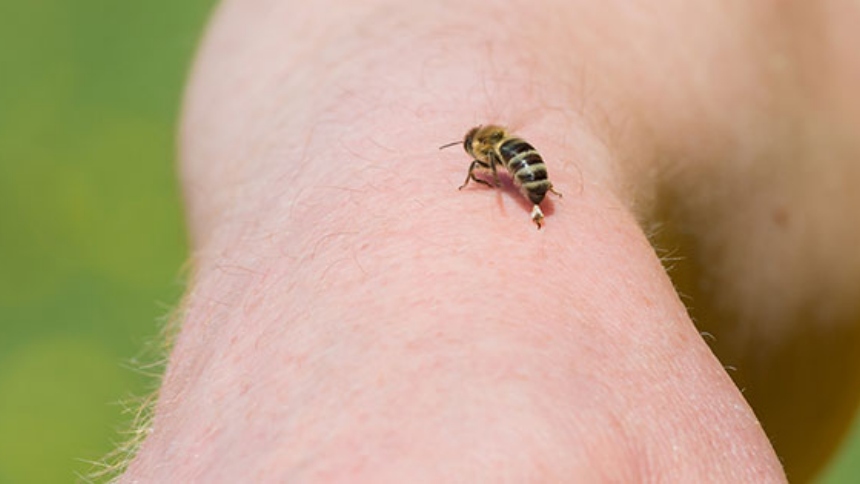 Lo que parecía una tarde tranquila en Brunswick, Georgia (EEUU), terminó en tragedia para el pequeño Beckham Reed, de apenas dos años de edad, quien fue hospitalizado tras ser atacado por cientos de abejas.   