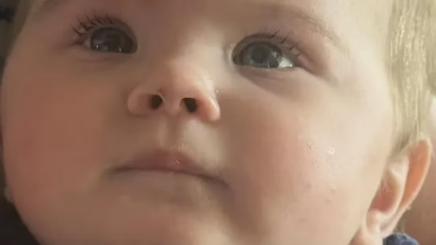 En el oeste de Tennessee (EEUU), las autoridades locales investigan una escalofriante coincidencia: el hallazgo de un bebé abandonado en el condado de Dyer y, horas más tarde, el descubrimiento de cuatro cadáveres en el condado de Lake, a solo 40 kilómetros de distancia.  