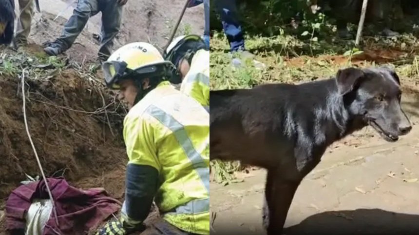 Mujer murió sepultada junto a su perro tras fuertes terremotos, una historia que conmociona las redes