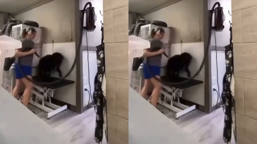 Una serie de videos difundidos en redes sociales ha desatado una ola de indignación en EEUU, puesto que en los mismos se muestra a una peluquera canina del centro Classy Critters Pet Resort & Spa, en Mooresville, Carolina del Norte, golpeando brutalmente a varios perritos durante el proceso de baño.  