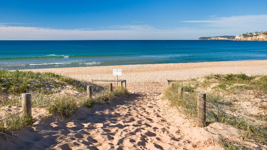 Surfeaba con unos amigos en famosa playa de Australia cuando fue "devorado por un gran tiburón"