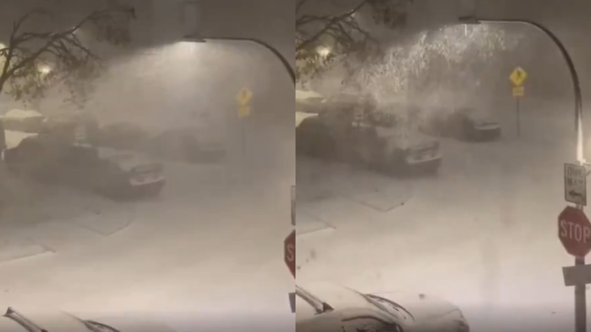 La ciudad de Chicago, en Illinois (EEUU) amaneció este lunes, 10 de noviembre, bajo un manto blanco de nieve que sorprendió incluso a los residentes más acostumbrados al invierno.