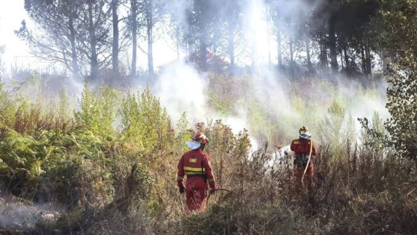 Equipos de extinción empiezan a contener el avance del fuego en incendios que han dejado 77.000 hectáreas quemadas en el centro de España