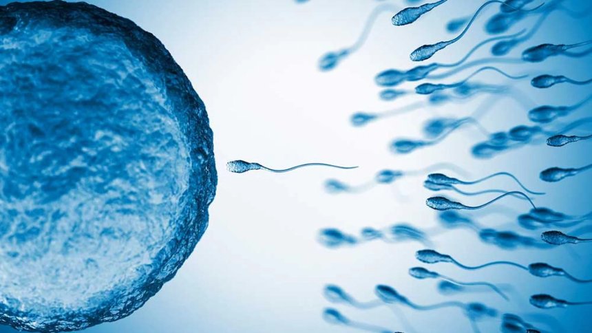 Donante de esperma dice ser padre de 199 personas nacidas hasta en cuatro países