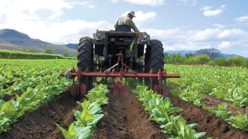 ¿Sector agropecuario bajo amenaza? Expertos explicaron cómo enfrentar el impacto del ‘Súper Niño’ en los campos venezolanos