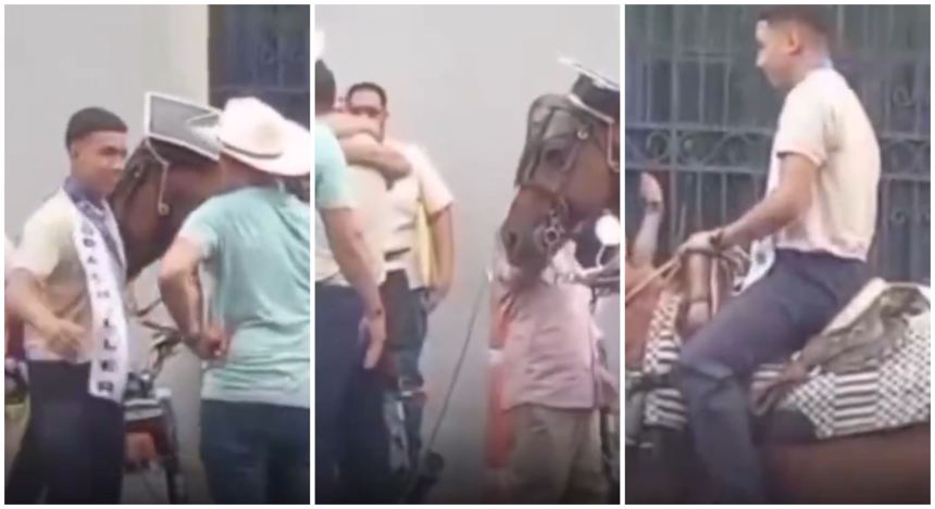 Bachiller un regalo Caballo viral